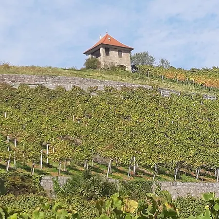 Zentrumsnah In Heppenheim Апартаменты *