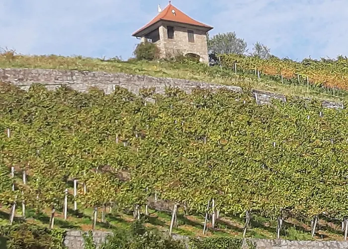 Zentrumsnah In Heppenheim Apartmán *